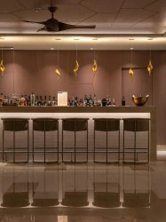 Conception de bar extérieur et espace détente  