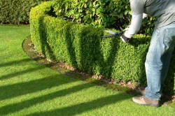 Entreprise de conception et d'entretien de jardins privés  