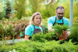 Jardinier paysagiste disponible  